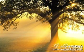 溘埃