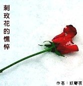 刺玫花的憔悴
